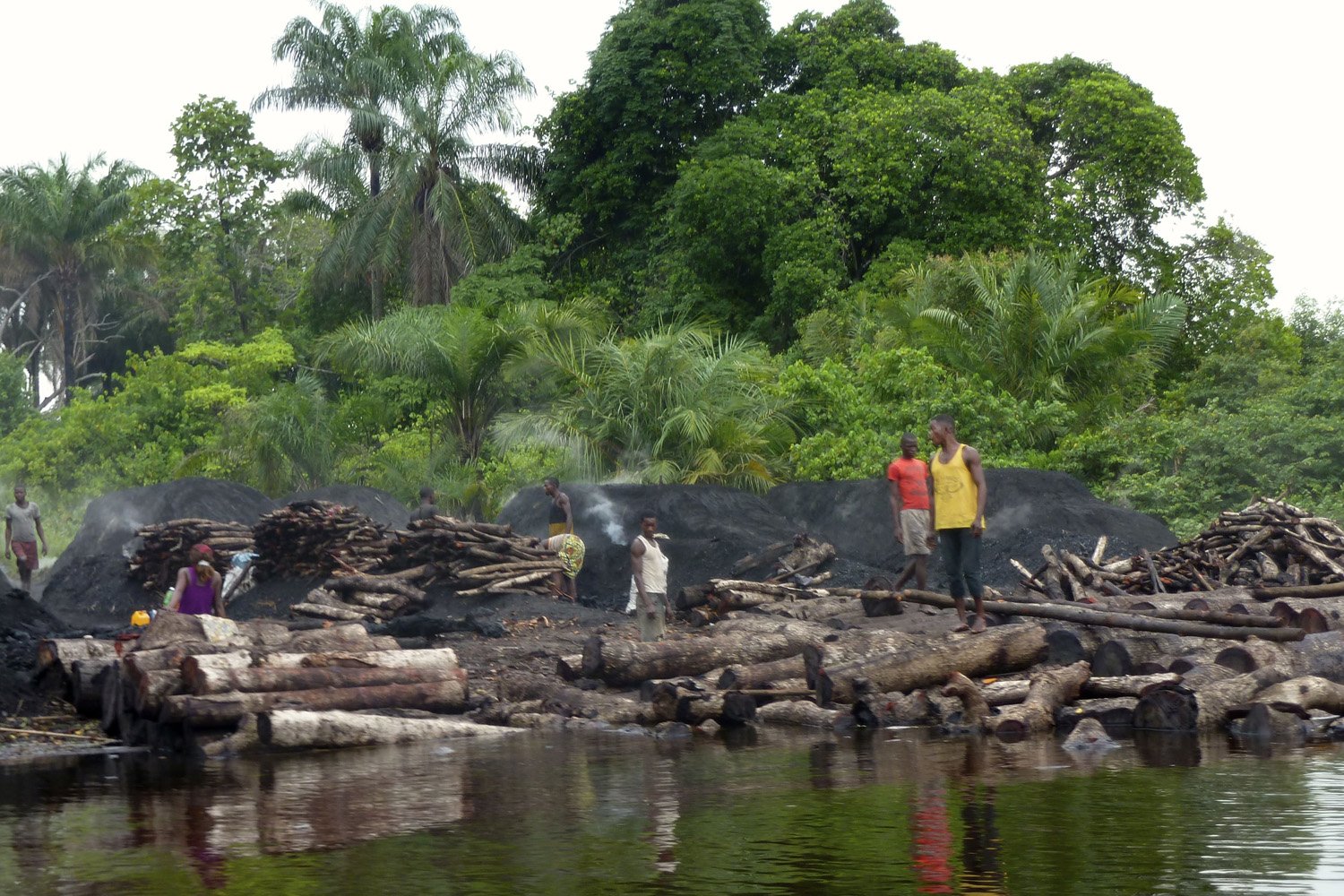 Le parc marin des mangroves
