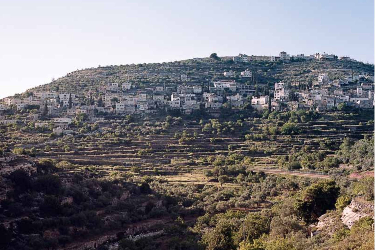 Battir, la résistance verte