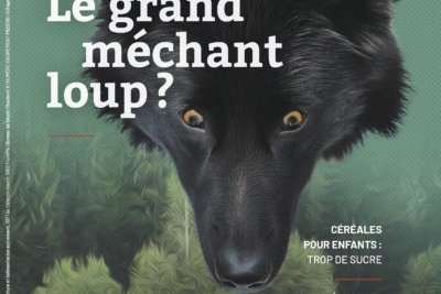 Le grand méchant loup ?