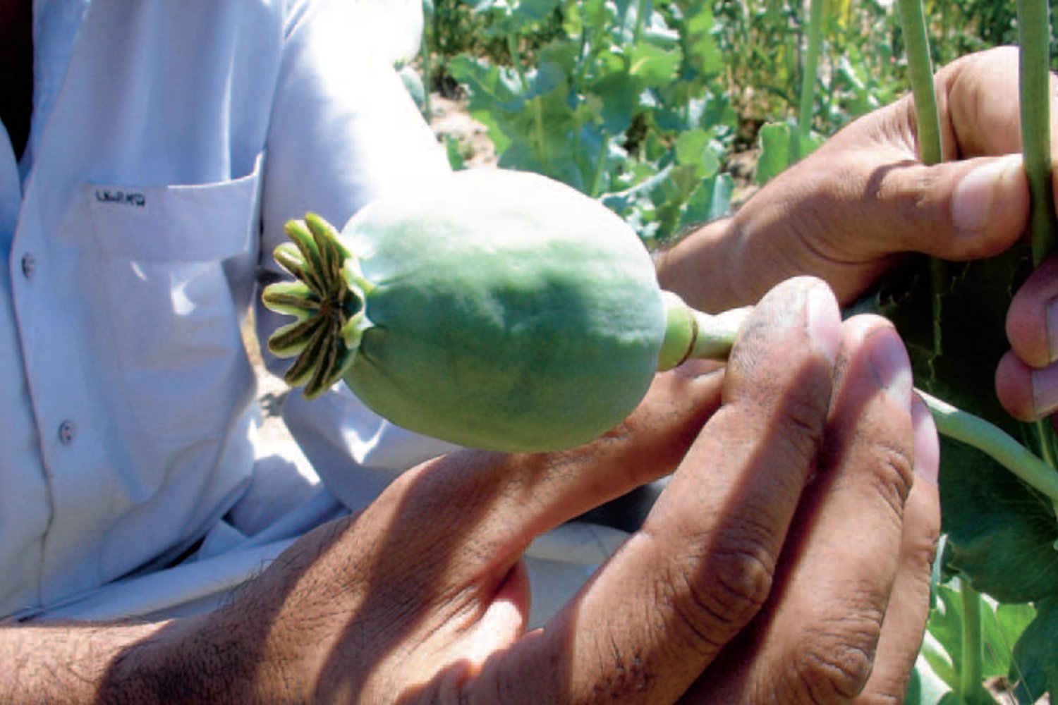 Un simple gramme d'héroïne