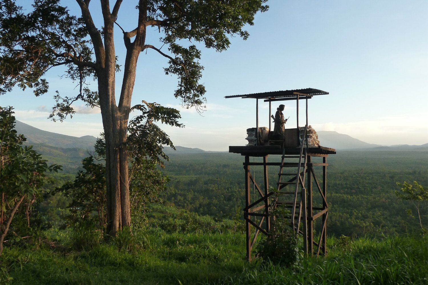 Le réveil des Virunga