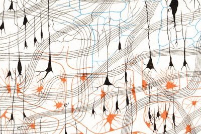 La Belgique, pays labo ?