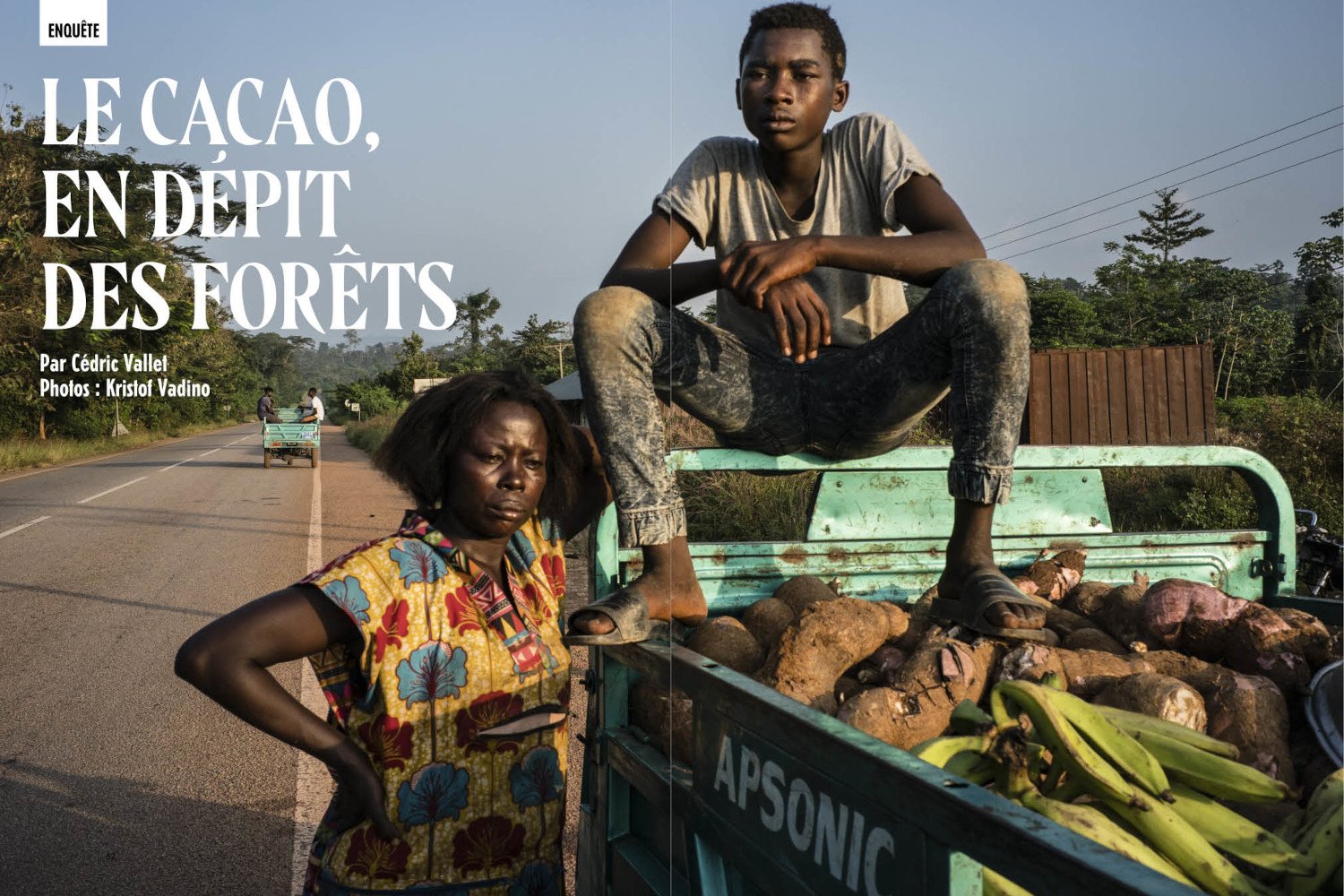 Le cacao, en dépit des forêts