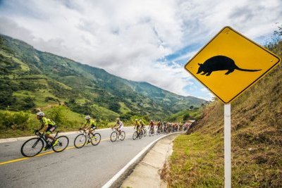 Histoire du cyclisme colombien