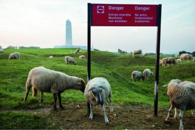 En terre empoisonnée
