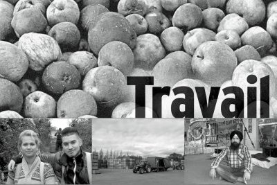Travail saisonnier : le prix de l'exploitation