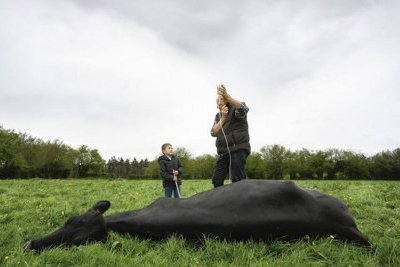 Vétérinaires ruraux : la grande panique
