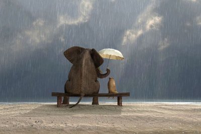 Microcrédit : sortez accompagné