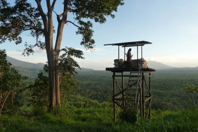 Le réveil des Virunga