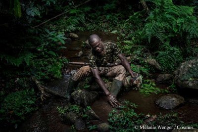 L'ivoire de Boko Haram