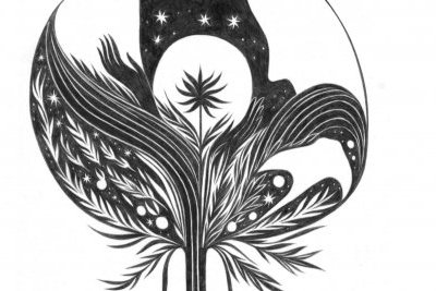 Avis de non recherche